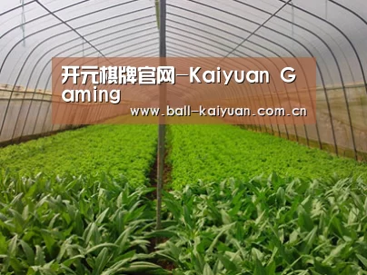 种植基地四